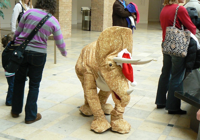 Event Image (See Caption Below)