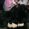 Oct 30, 2006: 