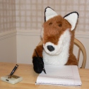 Sheldon writing his autobiography