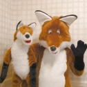 Sheldon With Reynard
