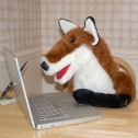 Sheldon on his notebook computer.